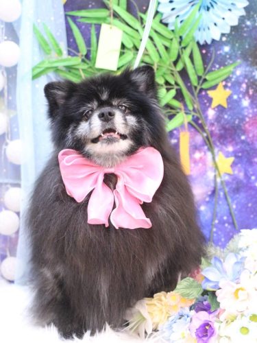 20250703ふわりちゃん